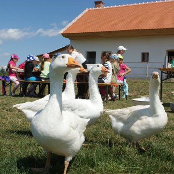 Park Rochus Uherské Hradiště